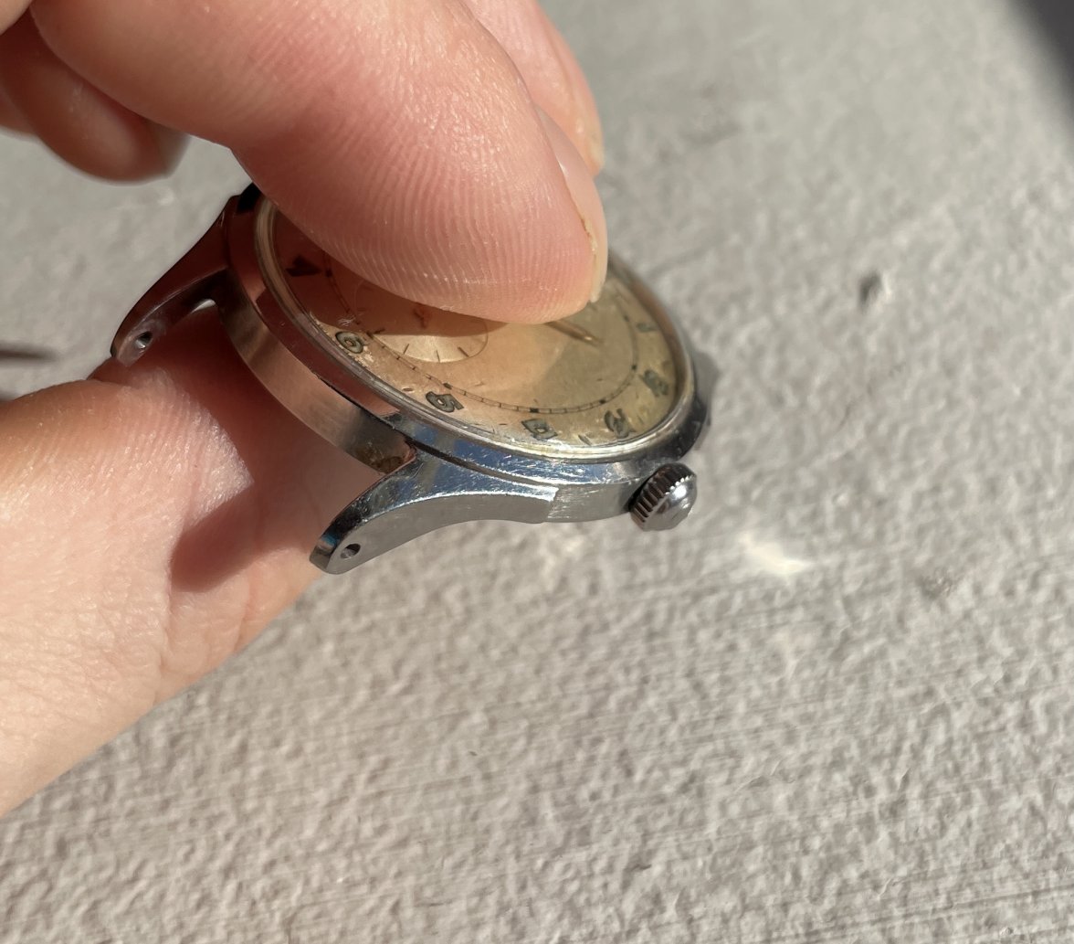 IMG_9545.jpg IMG_9545.jpg