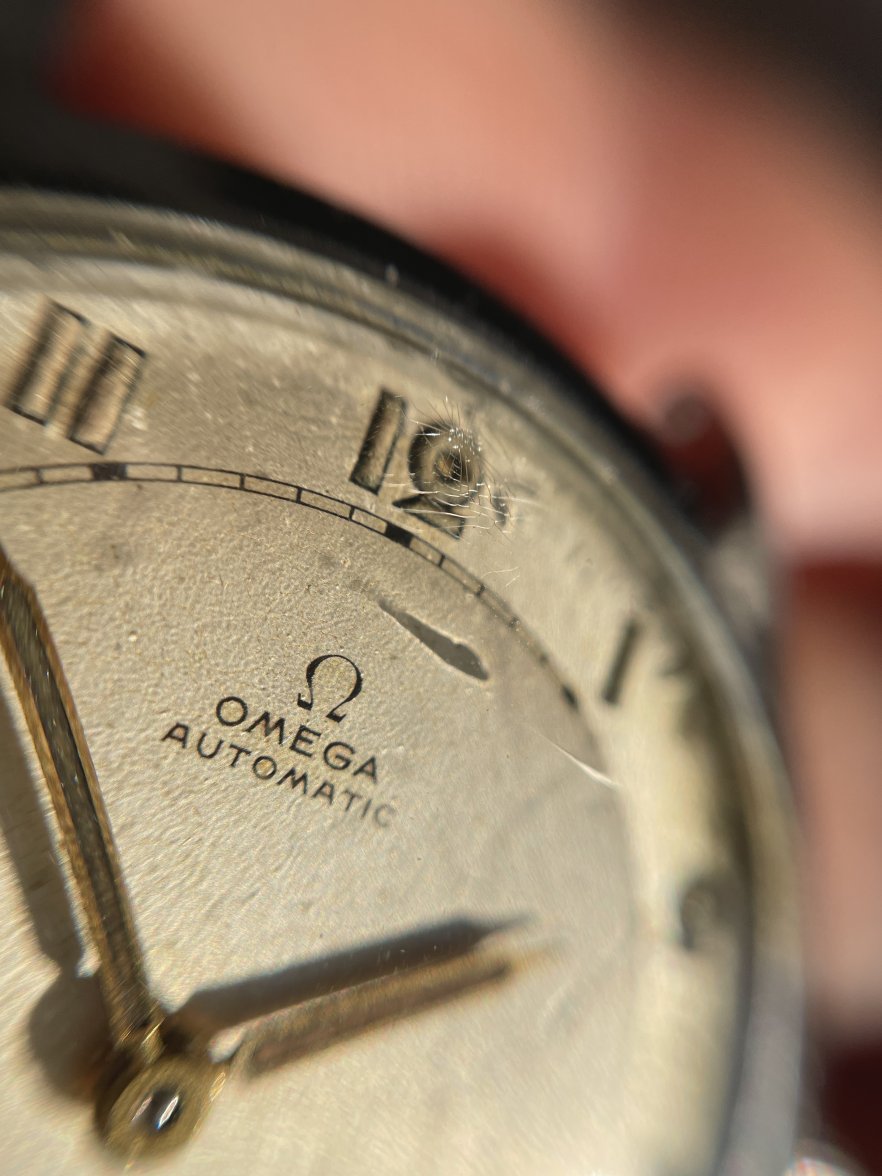 IMG_9550.jpg IMG_9550.jpg