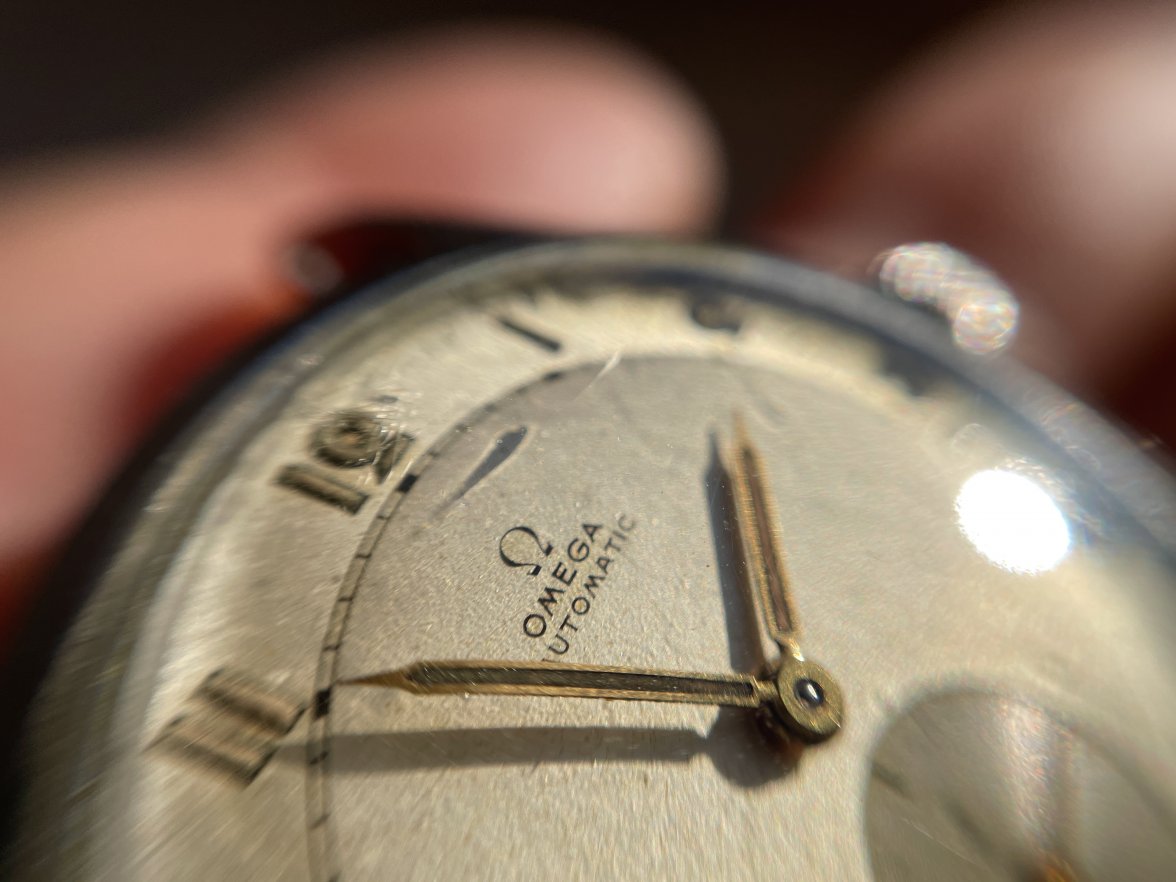 IMG_9558.jpg IMG_9558.jpg