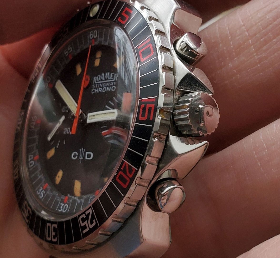 Stingray ws 1 crown guards 20210215_145038.jpg