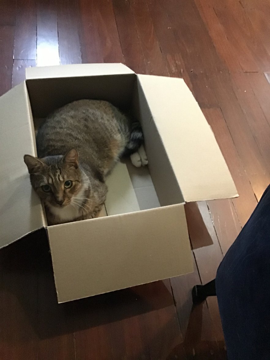 8740905A-8731-46B9-A8CA-9E66D694288D.jpeg 8740905A-8731-46B9-A8CA-9E66D694288D.jpeg