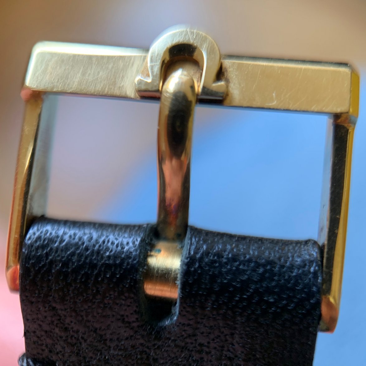 IMG_6961.jpg IMG_6961.jpg