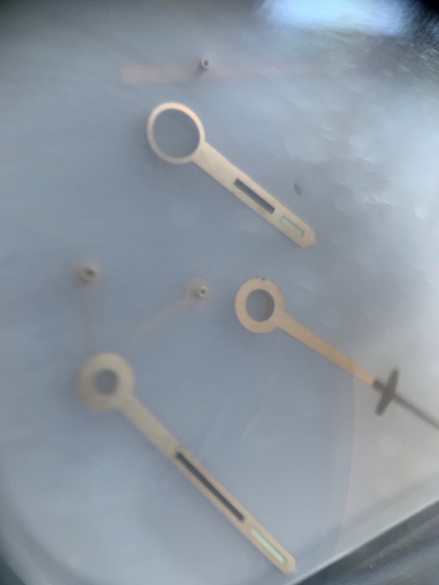 IMG_6966.jpg IMG_6966.jpg