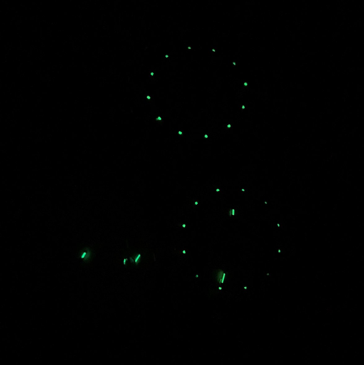 IMG_6969.jpg IMG_6969.jpg