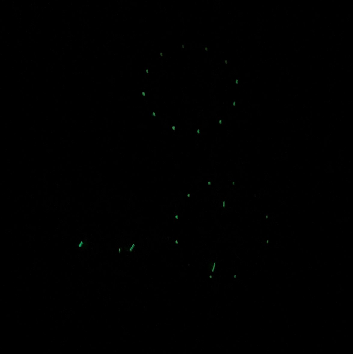 IMG_6972.jpg IMG_6972.jpg