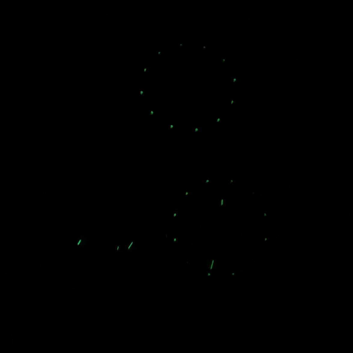 IMG_6973.jpg IMG_6973.jpg