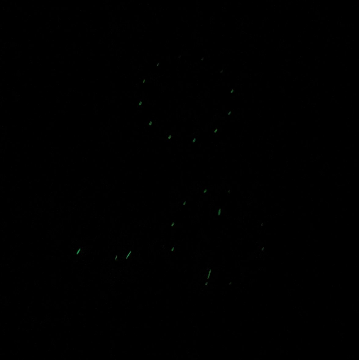 IMG_6975.jpg IMG_6975.jpg