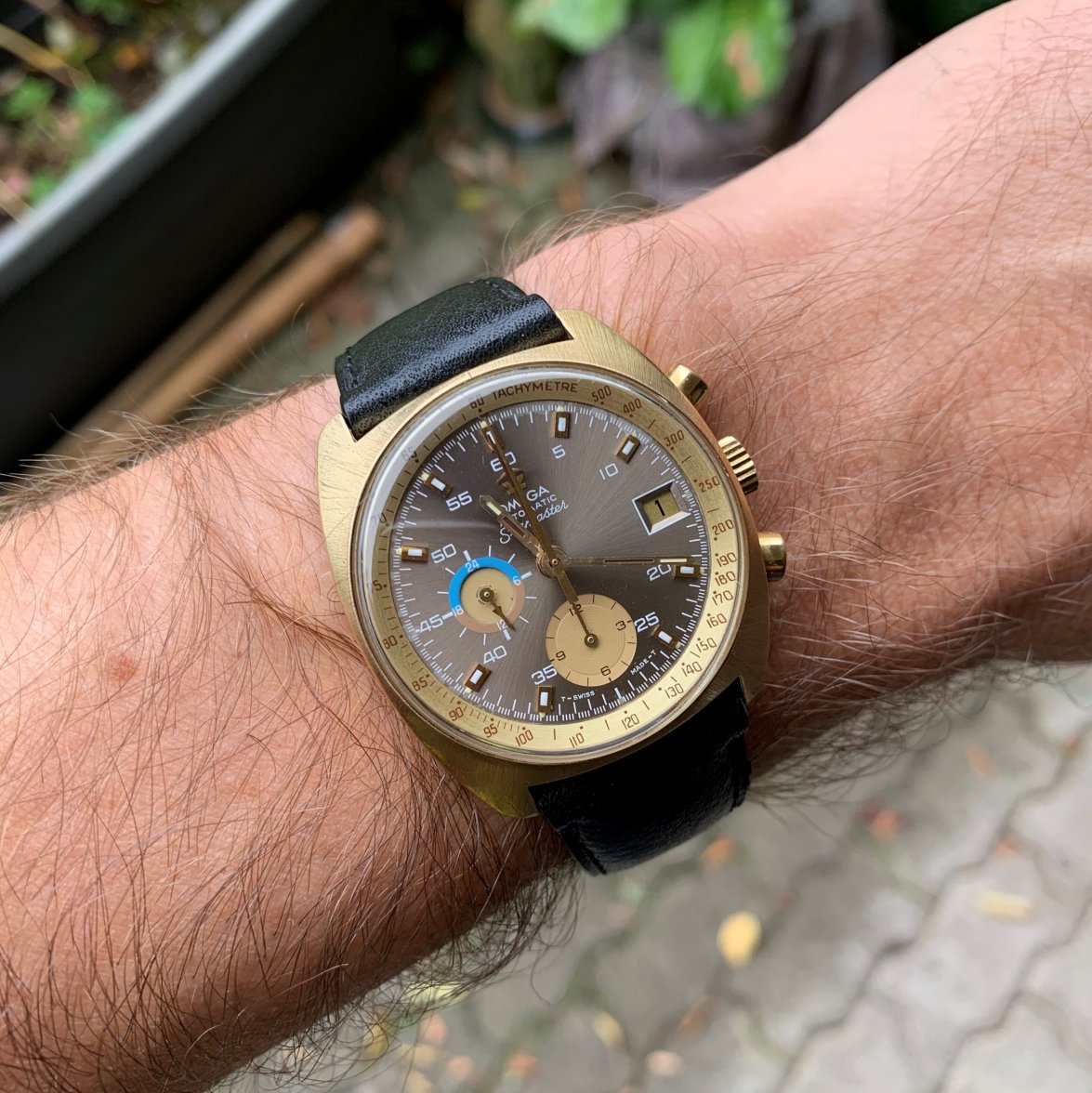 IMG_6406.jpg IMG_6406.jpg