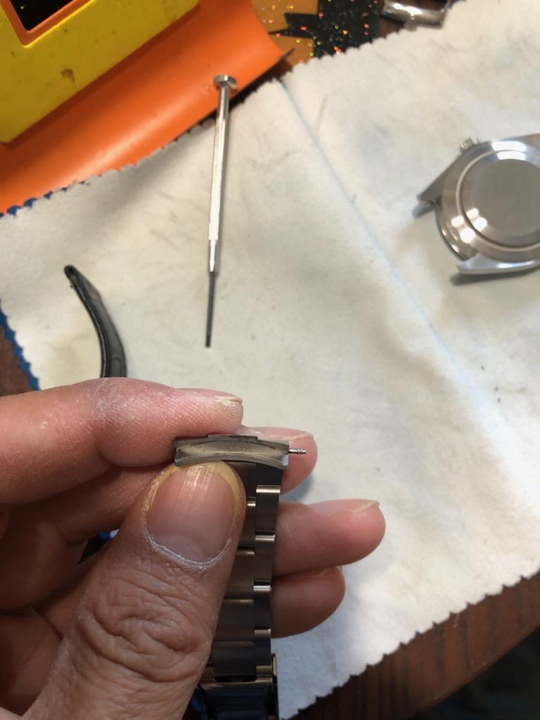 IMG_20210218_153919.jpg IMG_20210218_153919.jpg