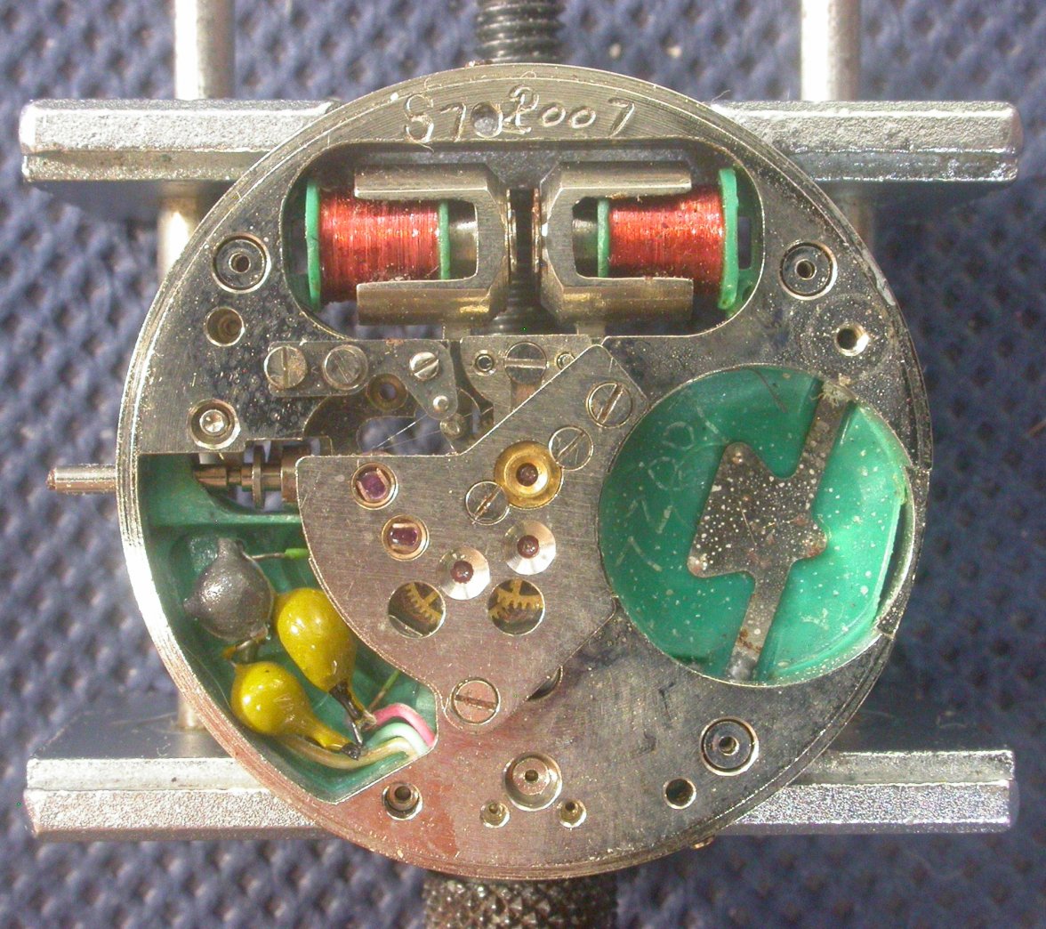 tianjin movt back 1.jpg