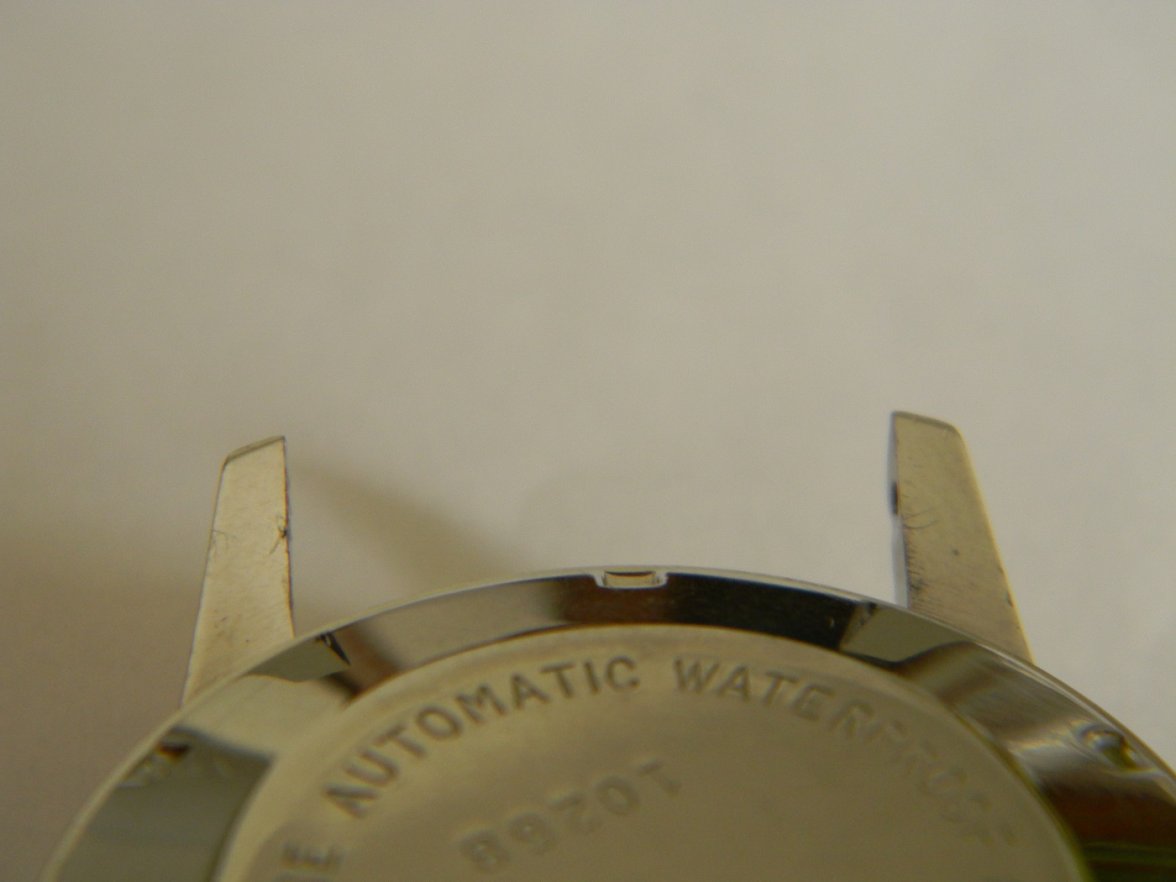 candino 013.JPG candino 013.JPG