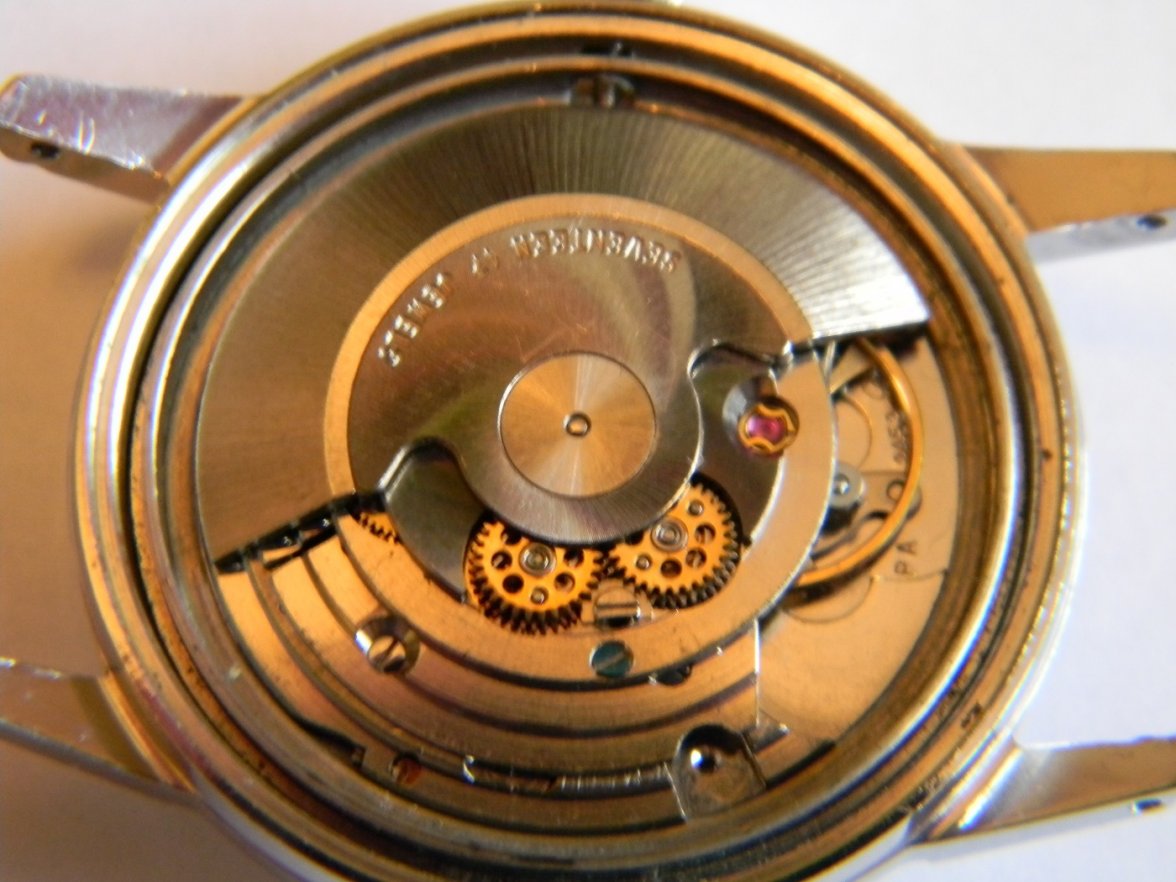 candino 017.JPG candino 017.JPG