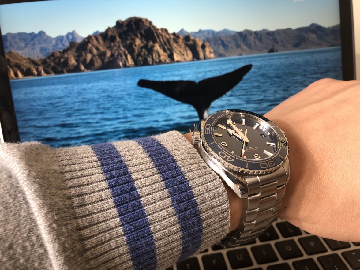 IMG_1602.JPG IMG_1602.JPG