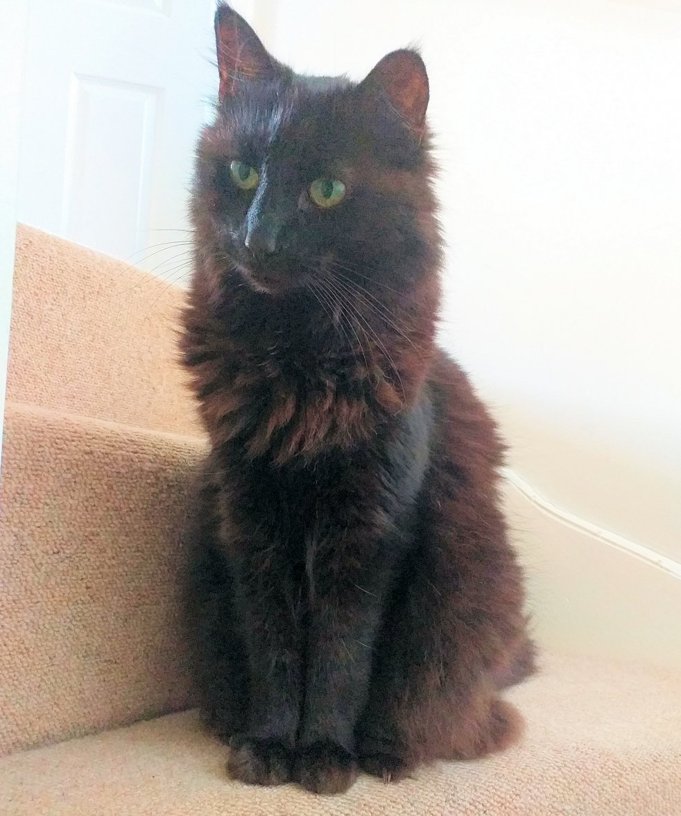 Garden 01 - Copy.jpg