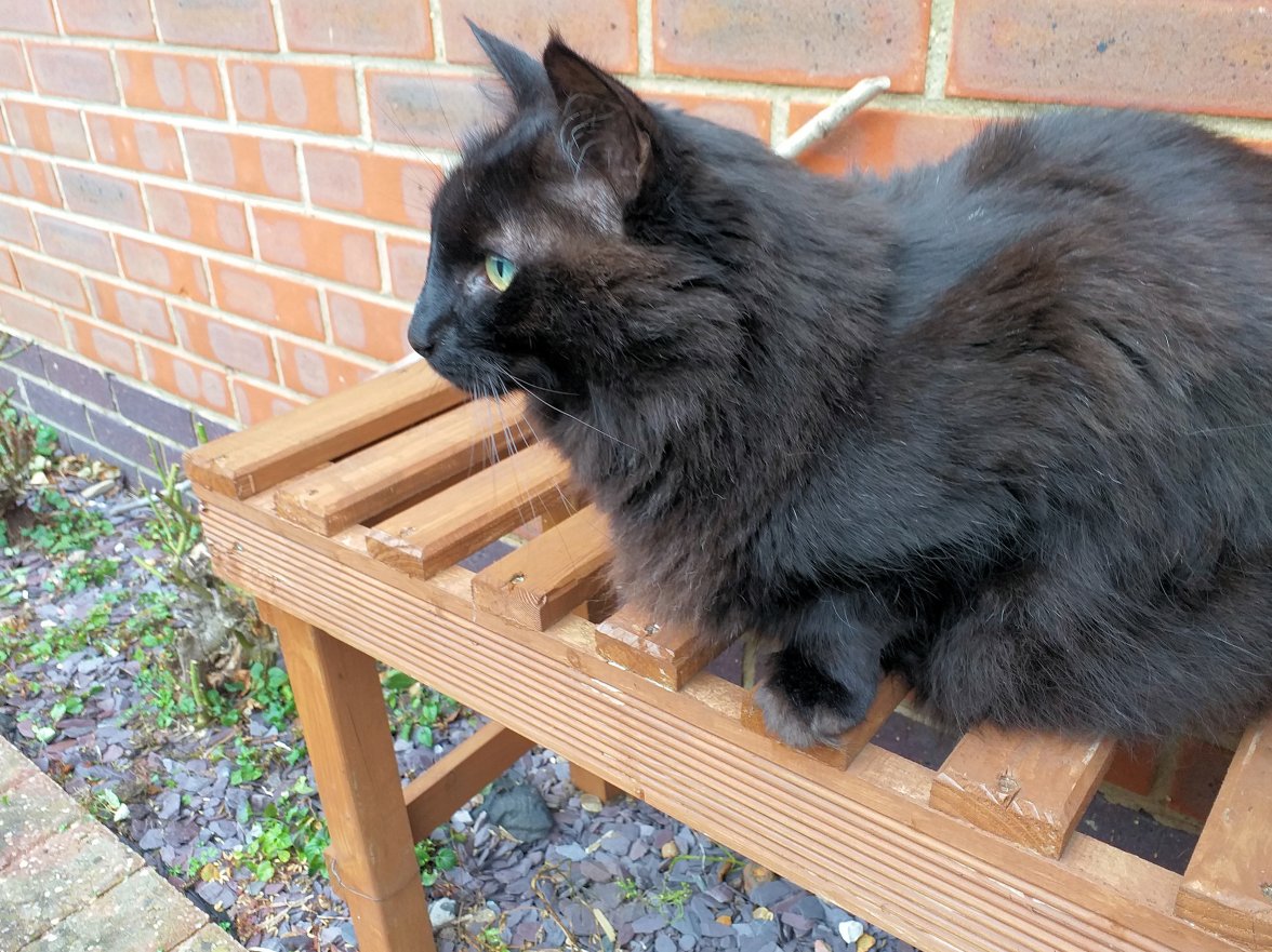 Garden 02 - Copy.jpg