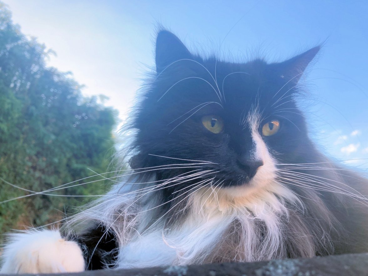 Garden 03 - Copy.jpg