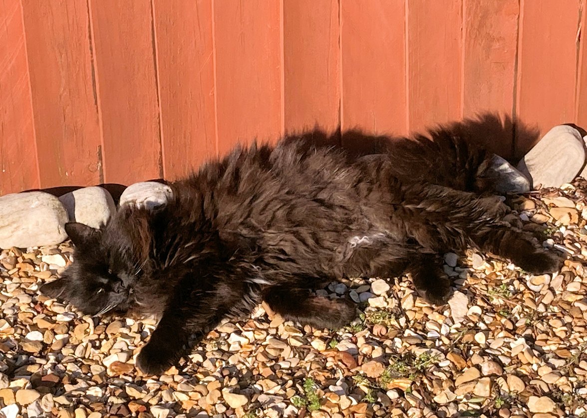 Garden 04 - Copy.jpg