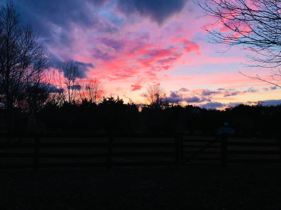 sunset-fence-1.jpg