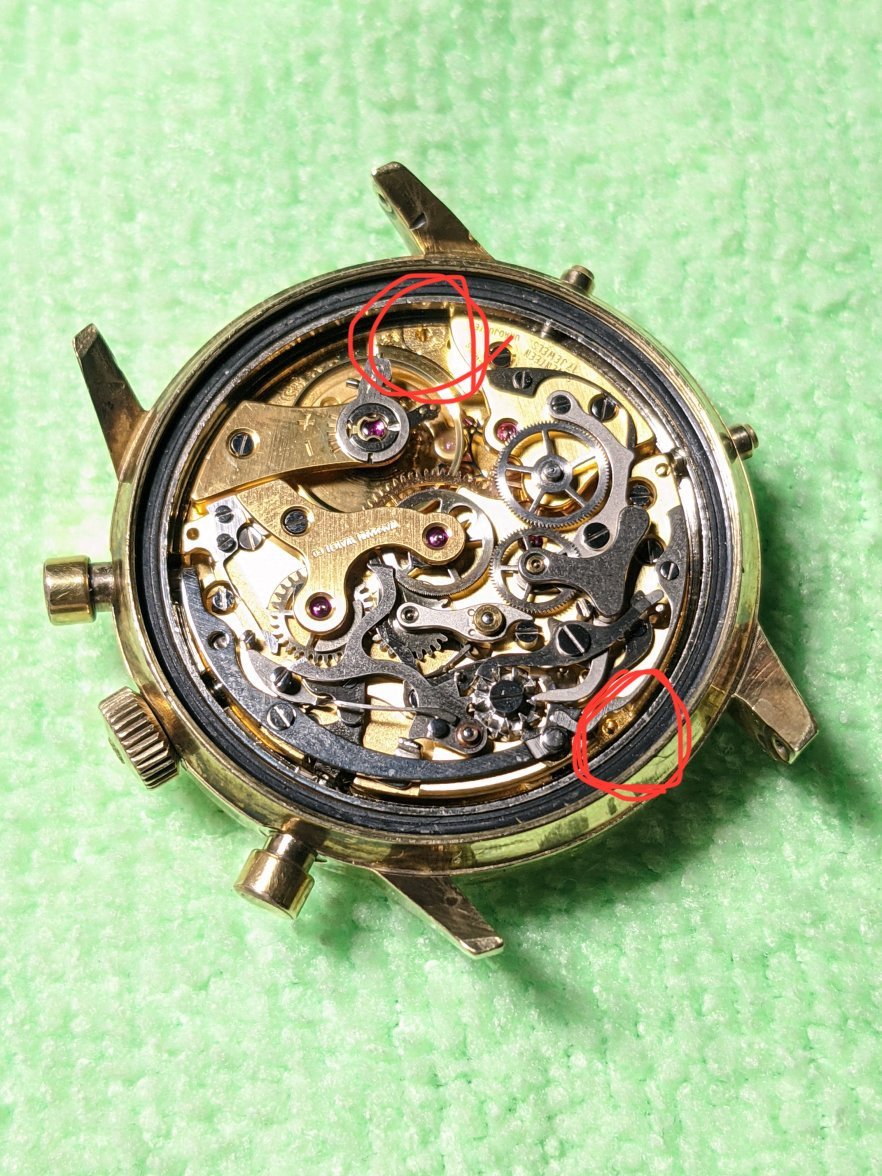 EBF8866E-4EF6-4A3D-91D9-DBFE84934B07.jpeg EBF8866E-4EF6-4A3D-91D9-DBFE84934B07.jpeg