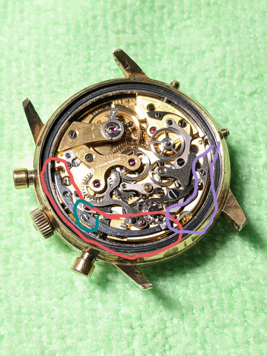 PXL_20210130_050601366 (1).jpg PXL_20210130_050601366 (1).jpg