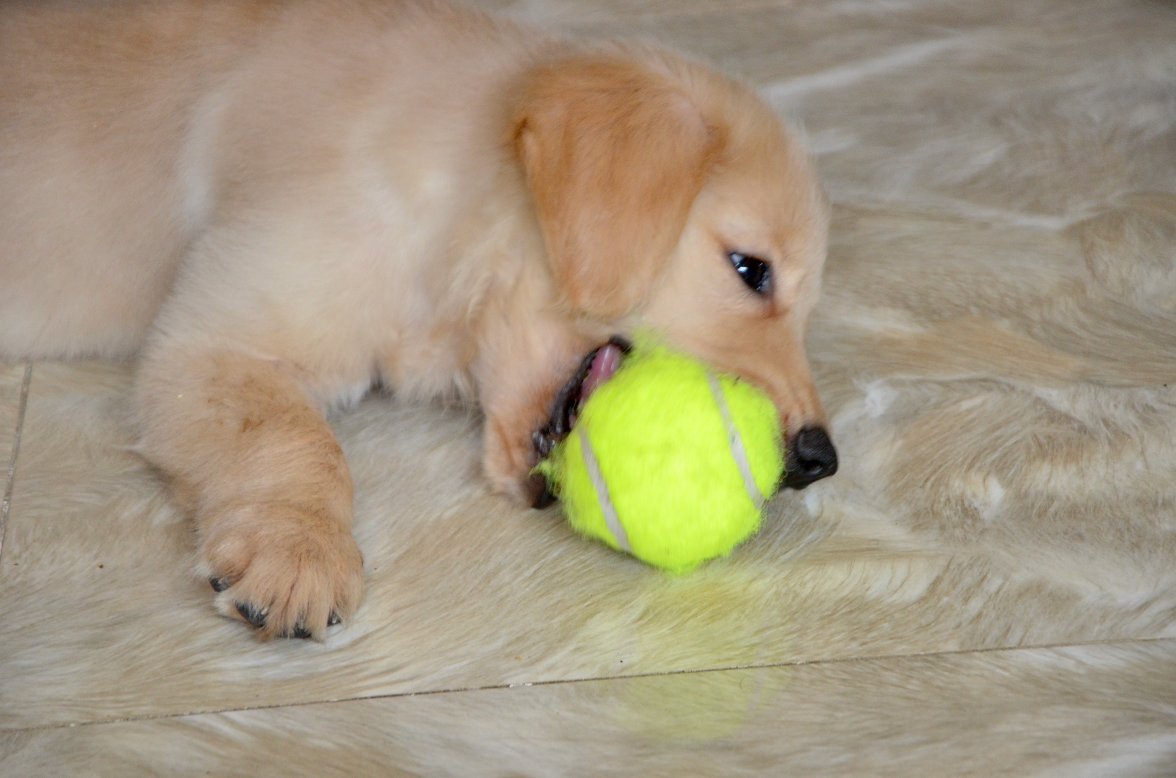 DSC_6983.jpeg DSC_6983.jpeg