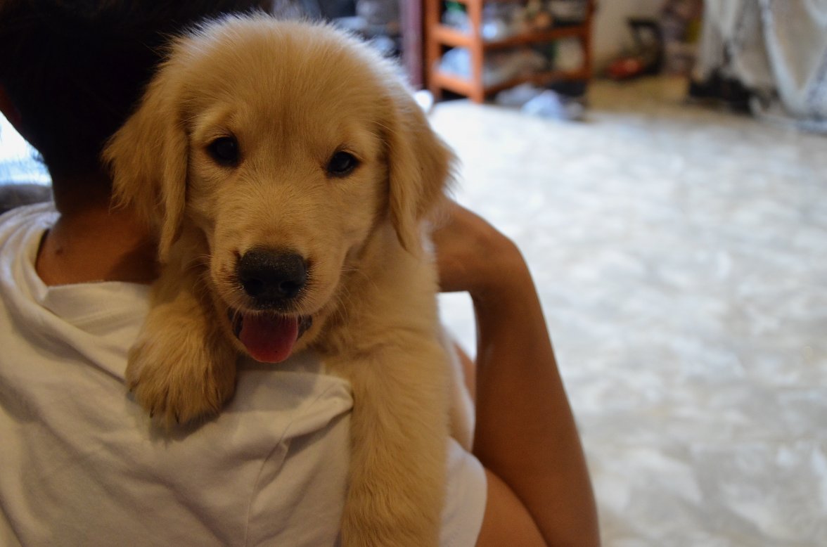 DSC_7002.jpeg DSC_7002.jpeg