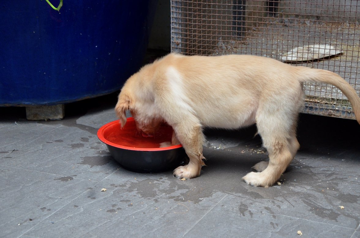 DSC_7033.jpeg DSC_7033.jpeg