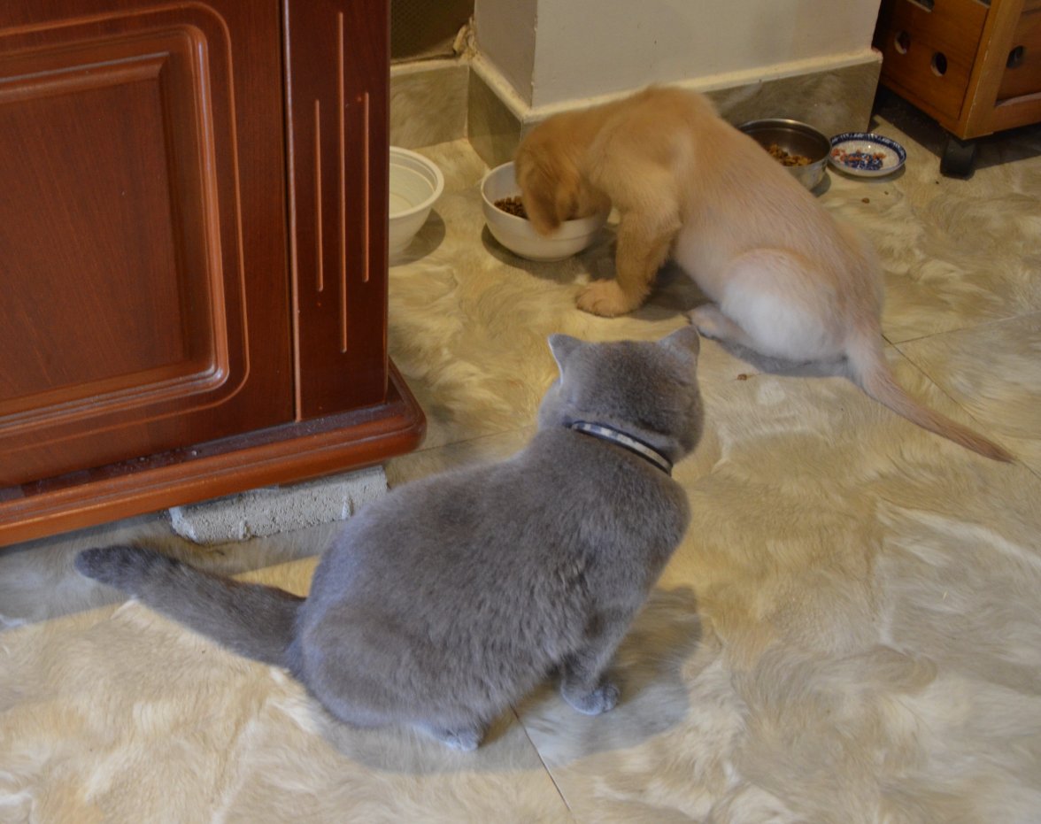 DSC_7017.jpeg DSC_7017.jpeg