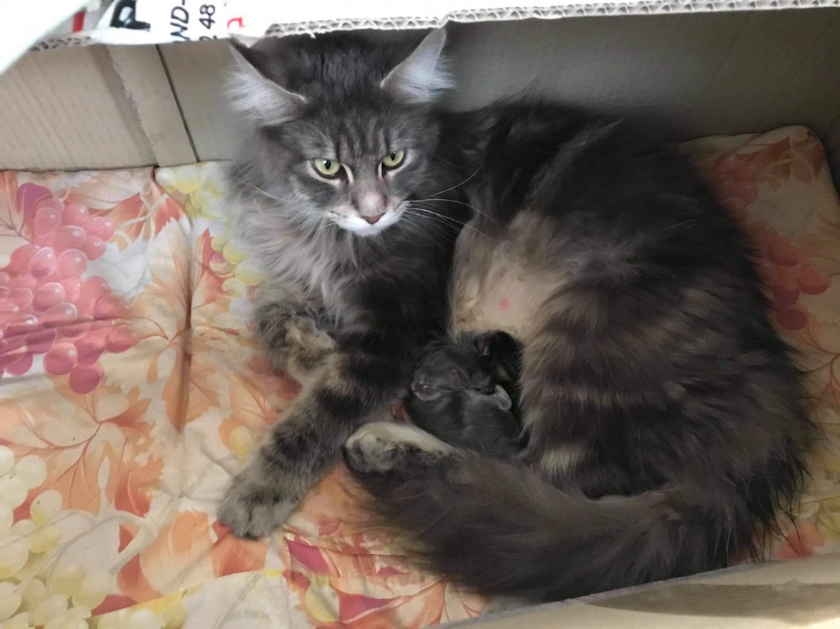 received_425915188713131.jpeg received_425915188713131.jpeg