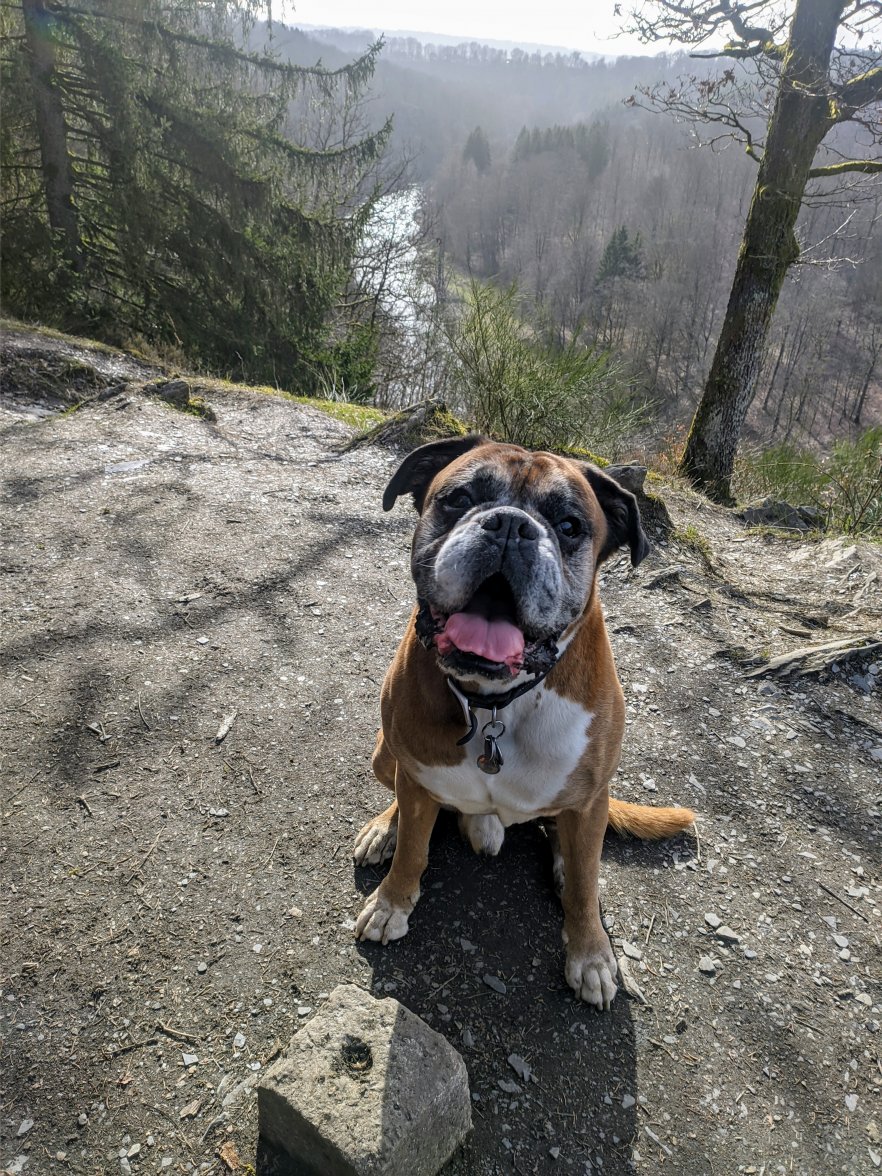 PXL_20210225_141313180.jpg PXL_20210225_141313180.jpg