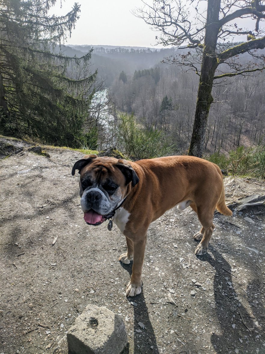 PXL_20210225_141300078.jpg PXL_20210225_141300078.jpg