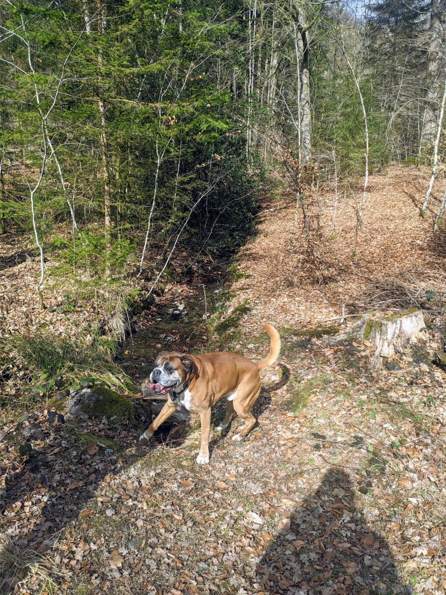 PXL_20210225_123807532.jpg PXL_20210225_123807532.jpg