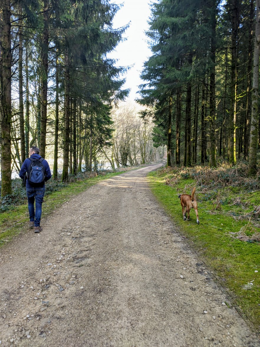 PXL_20210225_121817402.jpg PXL_20210225_121817402.jpg