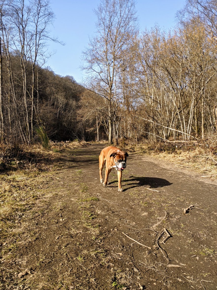 PXL_20210224_142145120.jpg PXL_20210224_142145120.jpg