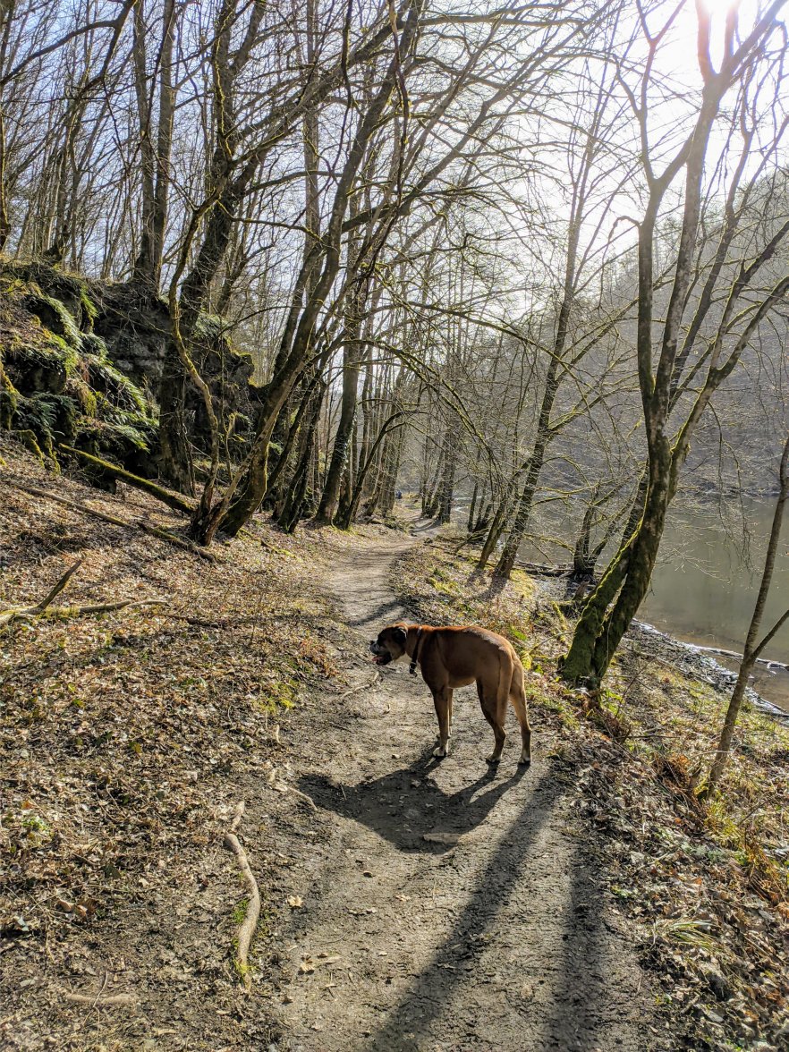 PXL_20210224_141723644.jpg PXL_20210224_141723644.jpg