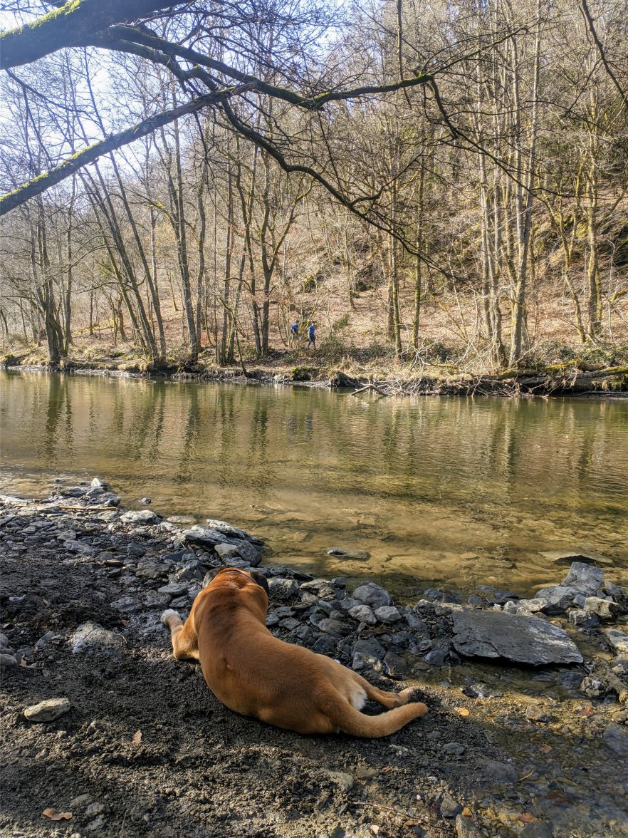 PXL_20210224_132217584.jpg PXL_20210224_132217584.jpg