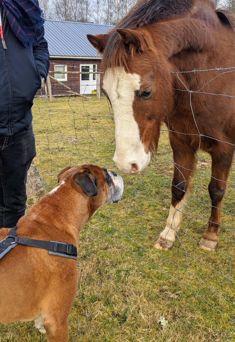 PXL_20210223_082338583.jpg PXL_20210223_082338583.jpg