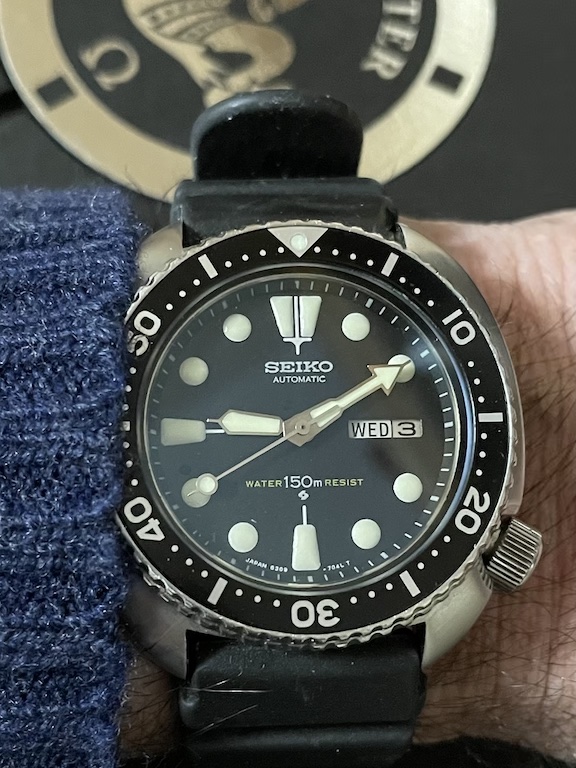 6309 wrist smaller.jpg