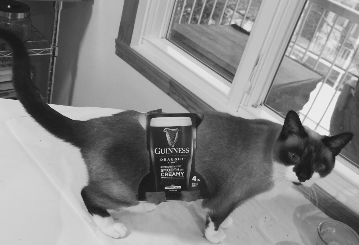 IMG_2836.JPG IMG_2836.JPG