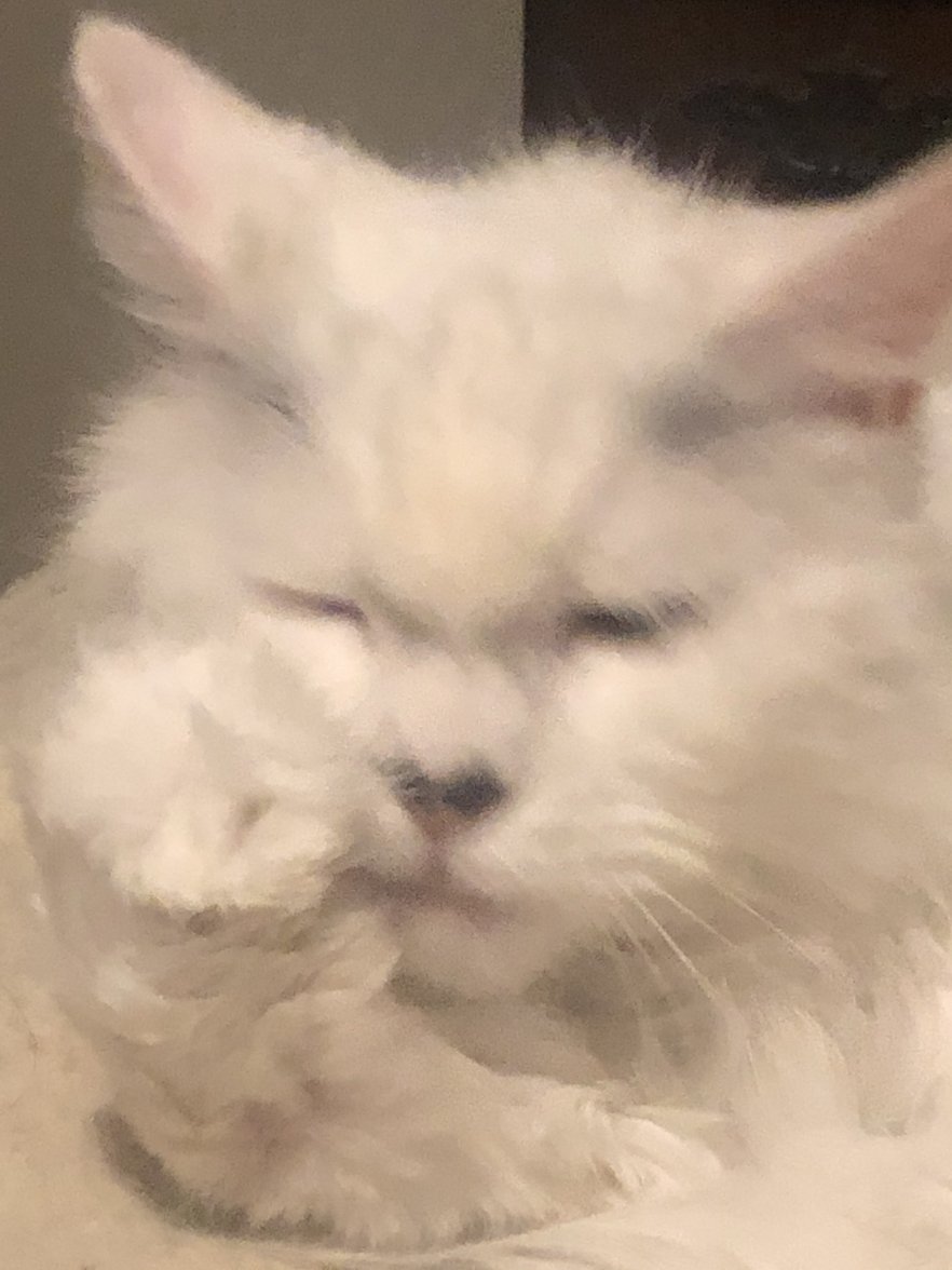 848DB166-8E3C-453E-9728-1C229000CF6E.jpeg 848DB166-8E3C-453E-9728-1C229000CF6E.jpeg