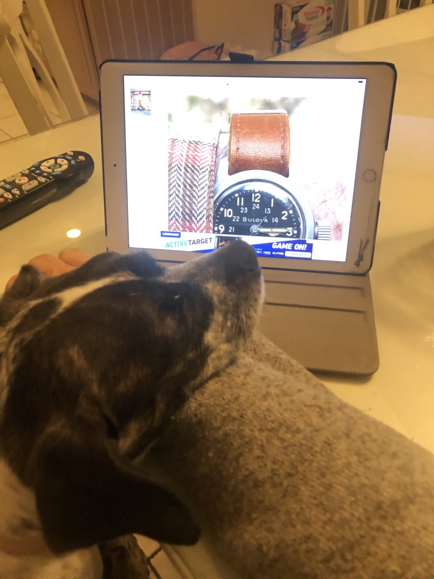 1A3DE393-6757-40E7-AFAF-43C9632F9A8E.jpeg 1A3DE393-6757-40E7-AFAF-43C9632F9A8E.jpeg