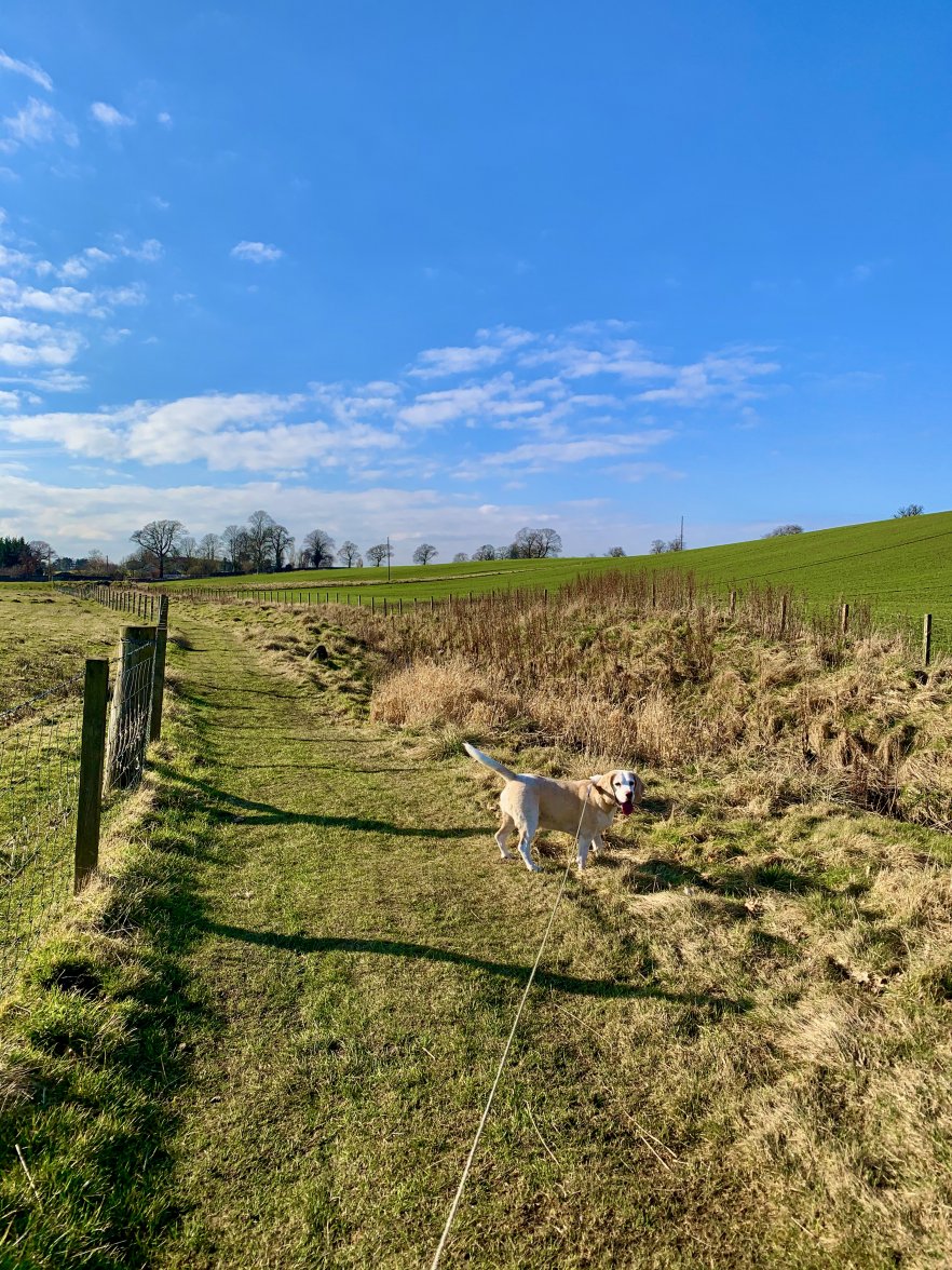 2B2DF884-AE19-4463-A5ED-3C327E538065_1_201_a.jpeg 2B2DF884-AE19-4463-A5ED-3C327E538065_1_201_a.jpeg