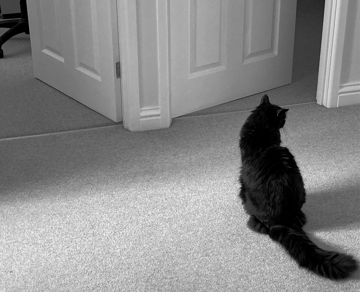 Decisions Decsions  - Copy.jpg