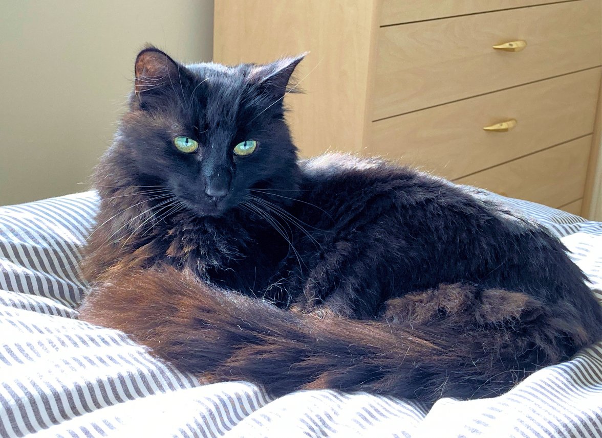 Back to bed - Copy.jpg