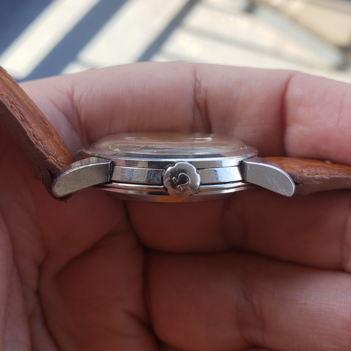 20210310_091329 (2).jpg