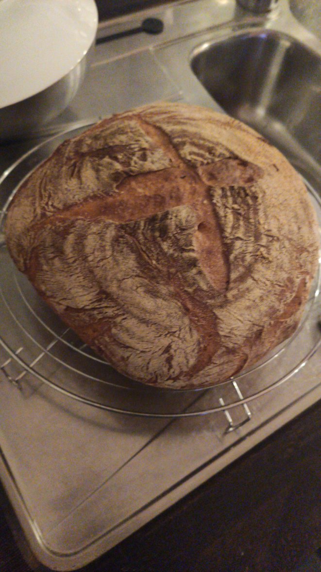 IMG-20210119-WA0000.jpeg