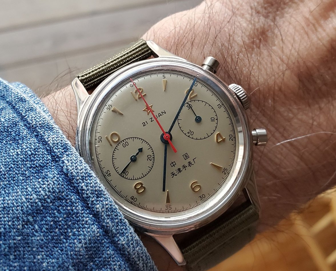 Seagull ws 3 20210319_071009.jpg