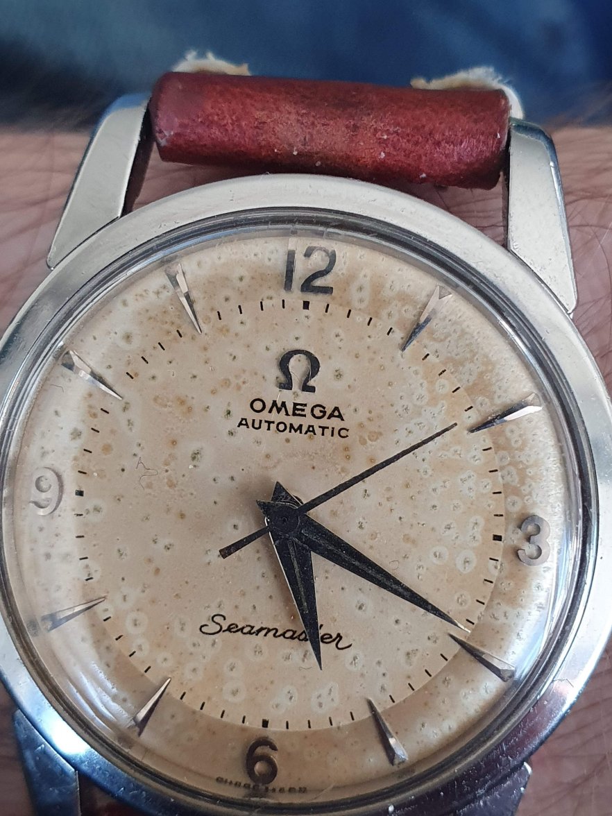 20210320_171825.jpg 20210320_171825.jpg