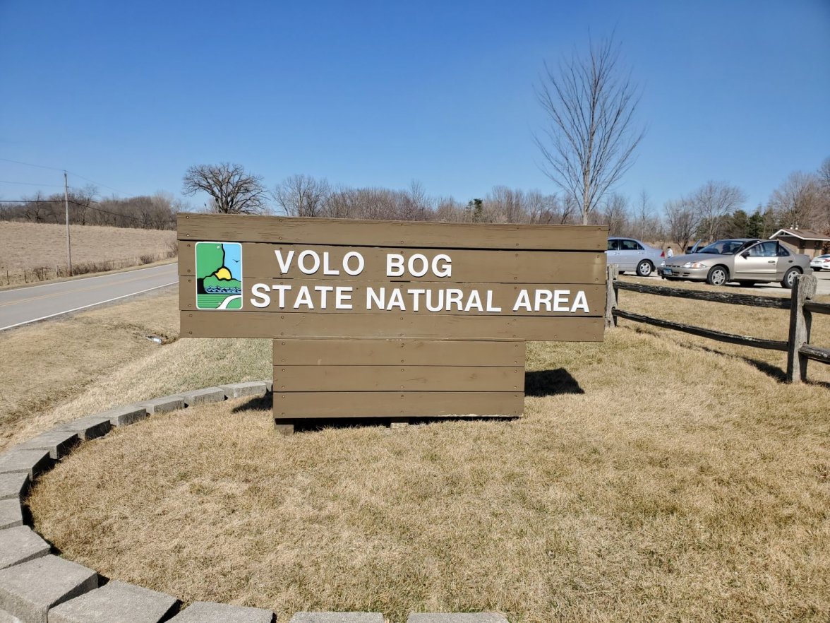 6309 bog 1 20210320_145035.jpg