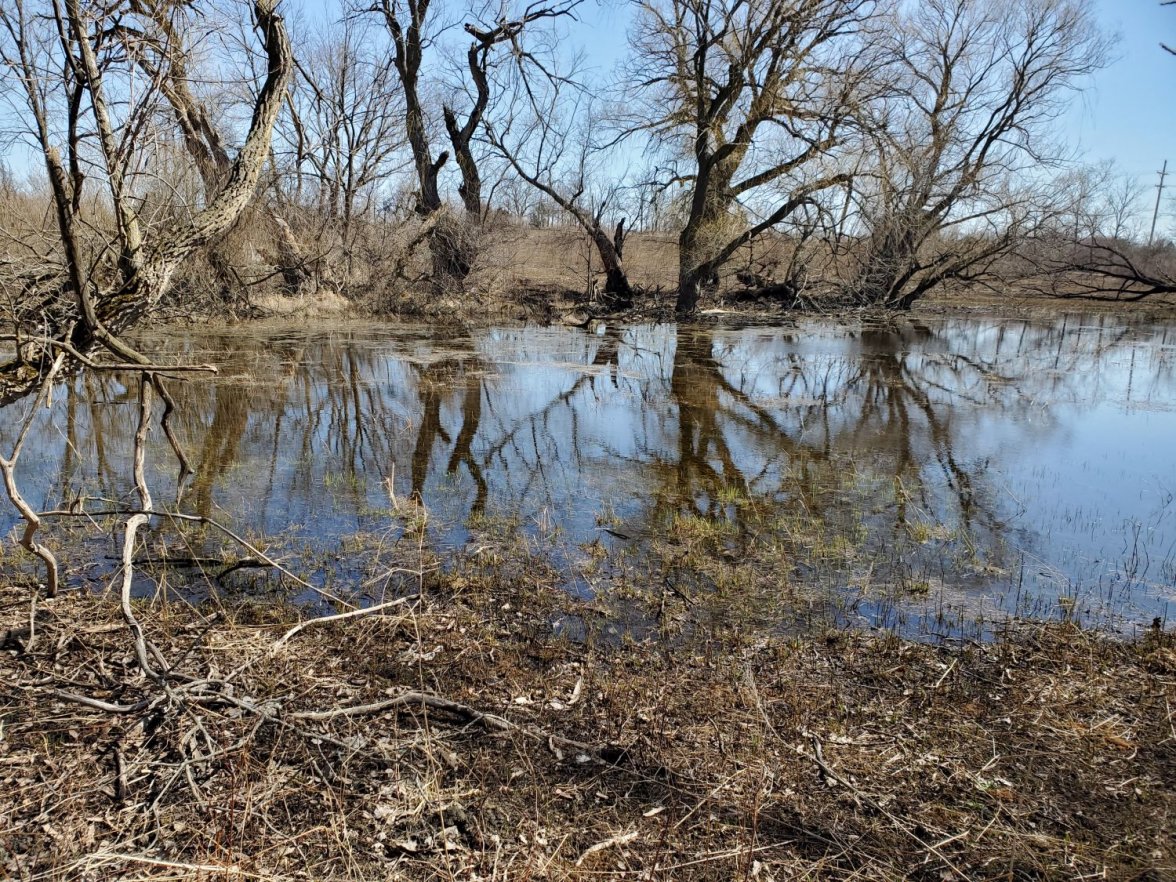 6309 bog 2 20210320_140743.jpg